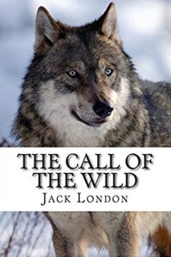 book cover The Call of the Wild by Jack London